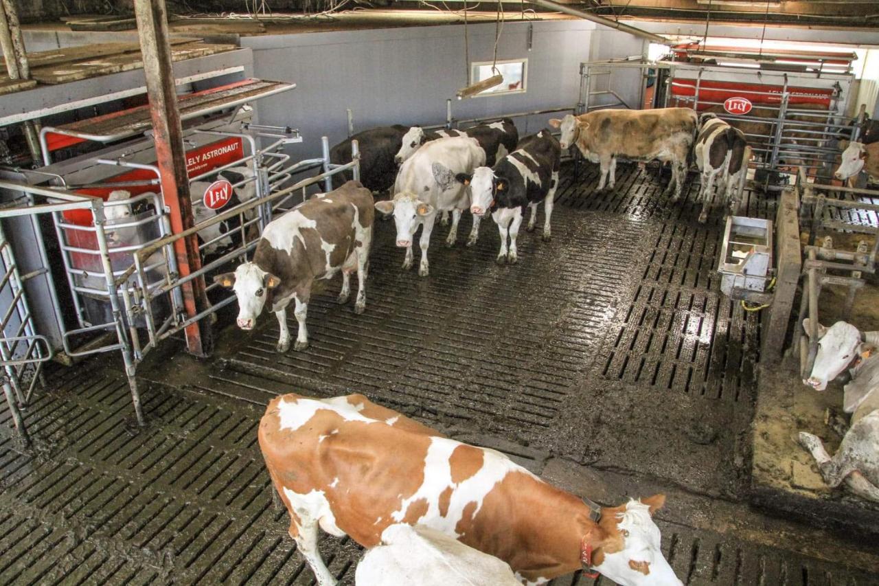 Gite A La Ferme Rouvroy Ngoại thất bức ảnh